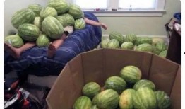 在线吃瓜--今日大赛